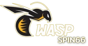 waspspin66